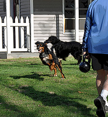 Training With Kettlebells – The Benefits Of This Ancient, But Hugely Dynamic Method Of Training!