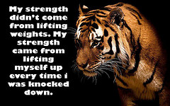 Principles Of Strength…